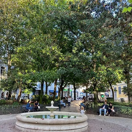 Cozy Bernardes 2bedroomapt With Ac *